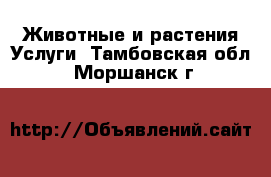 Животные и растения Услуги. Тамбовская обл.,Моршанск г.